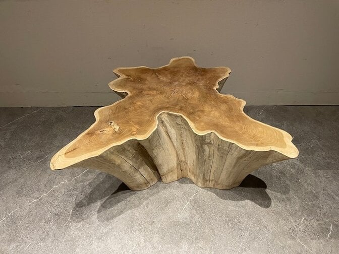 Wortelhout salontafel 100/110x47cm IJ05-2554