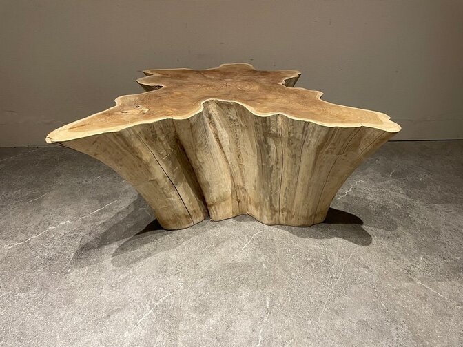 Wortelhout salontafel 100/110x47cm IJ05-2554