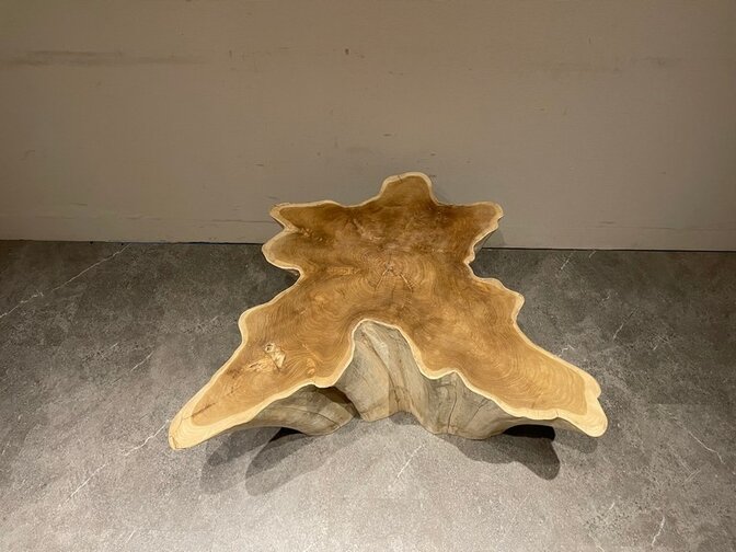 Wortelhout salontafel 100/110x47cm IJ05-2554