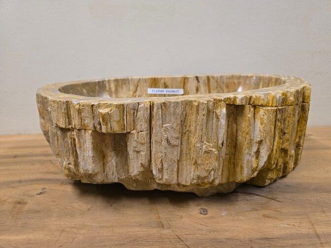 Waskom van versteend hout - 53x36x17cm - FL23548