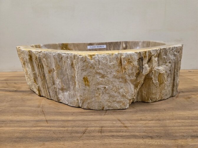 Waskom van versteend hout -60x40x15cm - FL23551