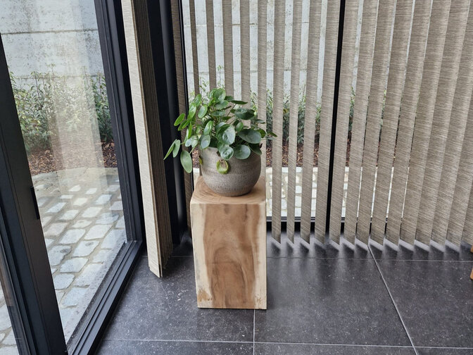 Suar hout blok 30x30x50cm