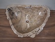 Onyx waskom - 53x38x15cm - FL23674