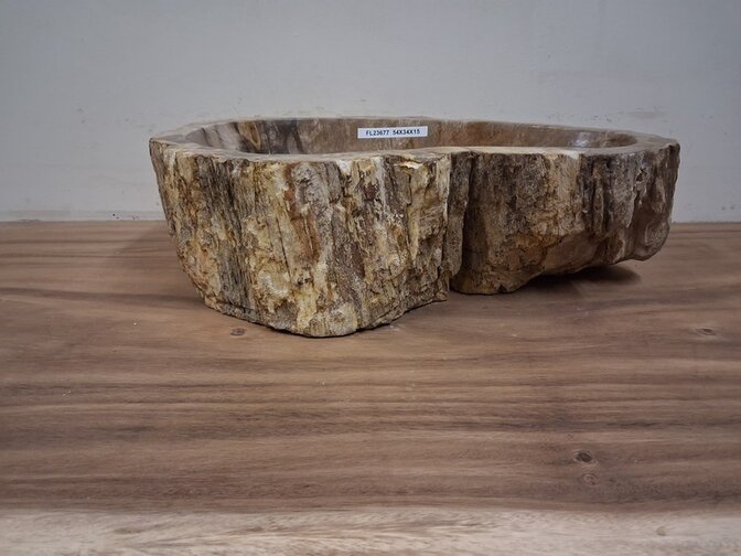 Waskom van versteend hout - 54x34x15cm - FL23677