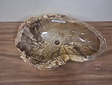 Waskom van versteend hout - 54x34x15cm - FL23677