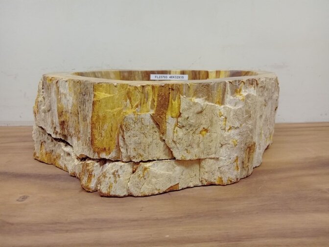Waskom van versteend hout - 48x32x15cm - FL23703