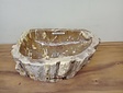 Waskom van versteend hout - 53x31x15cm - FL23705