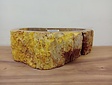 Waskom van versteend hout - 50x34x15cm - FL23706
