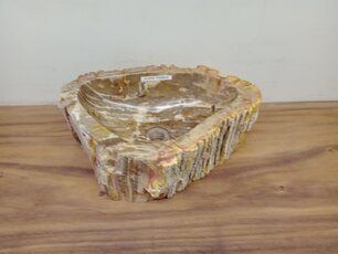 Waskom van versteend hout - 51x38x15cm - FL23707
