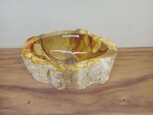 Waskom van versteend hout - 45x29x15cm - FL23711