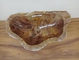 Waskom van versteend hout - 56x32x15cm - FL23712