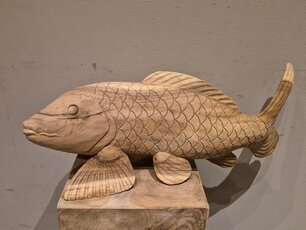 Kooikarper hout - Vis massief