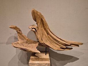 Sculptuur op voet 100x70cm - Teak wortelhout