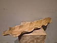 Teak houten fruitschaal 60cm - boomblad