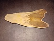 Suar tafelblad  70x145cm - CA14-326