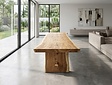 Boomstamtafel Suar 320cm