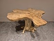 Salontafel van wortelhout 70x80x50cm - SR2569-09