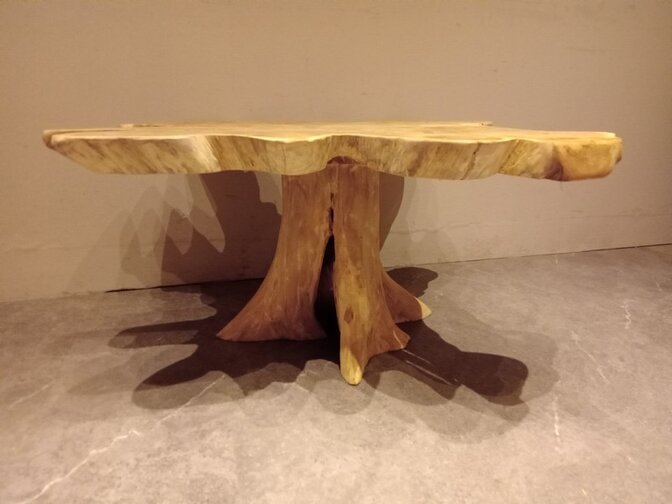 Salontafel van wortelhout 80x100x46cm - SR2569-10