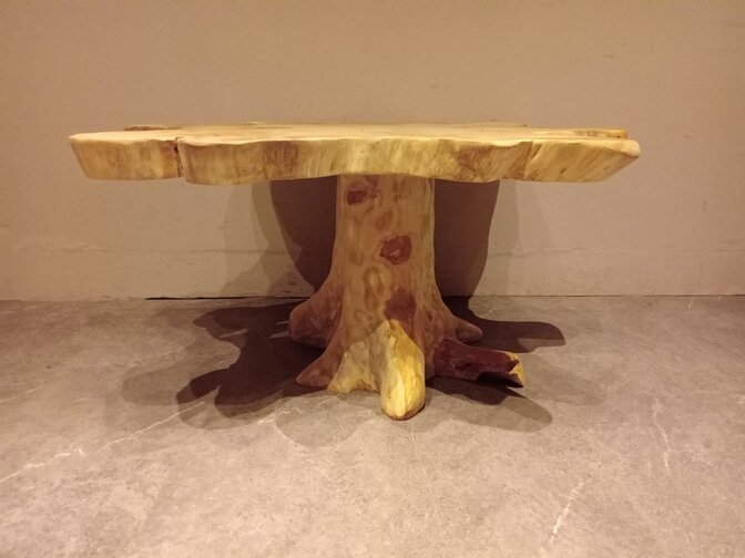Salontafel van wortelhout 70x95x45cm - SR2569-12