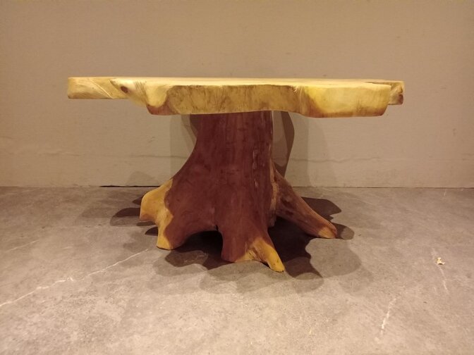 Salontafel van wortelhout 80x85x50cm - SR2569-15