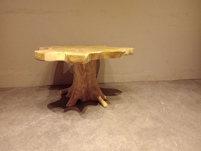 Salontafel van wortelhout 80x80x45cm - SR2569-21