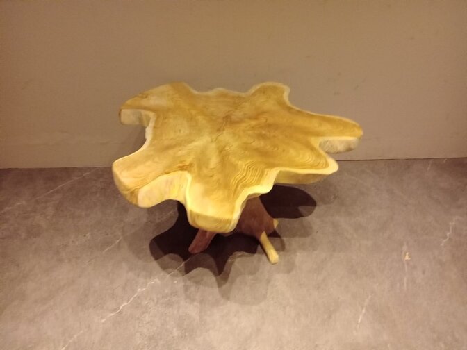 Salontafel van wortelhout 80x80x45cm - SR2569-21