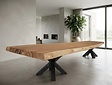 Boomstamtafel 500cm
