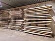 Boomstamtafel 500cm