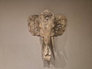 Hangende olifant met schelpen - 50x50cm