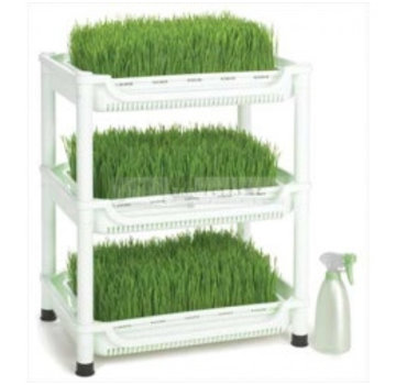 Sproutman's Wheatgrass Grower