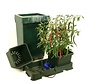 Easy2Grow 2 Töpfe Starter Set Fass 47L