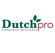 Dutch Pro