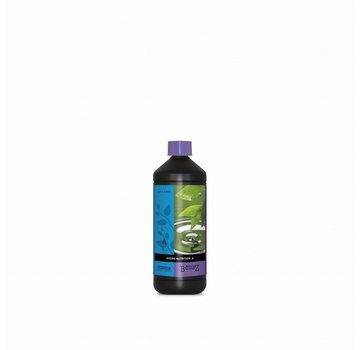 Atami B’cuzz Hydro Nutrition A&B 1 Liter