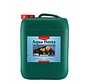 Aqua Flores A&B 10 Liter