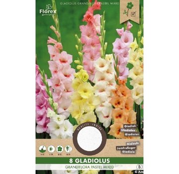 Florex Pastellgladiole Gemischt 8 st.