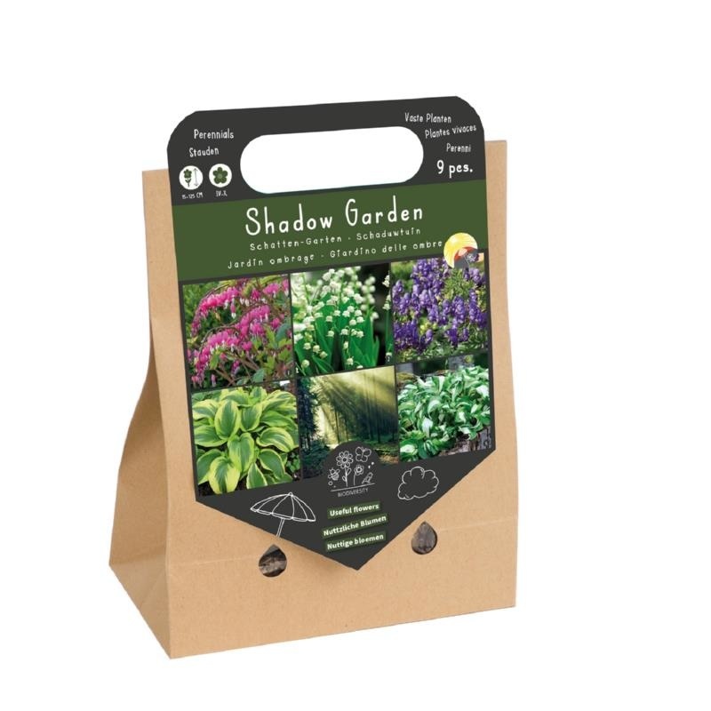 Frühlingsblumenzwiebeln Schattengarten Stadt Garten Store