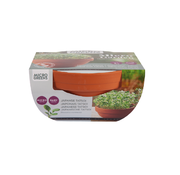 Buzzy Grow Gifts Microgreens Terrakotta Blumentopf Japanische Tatsoi