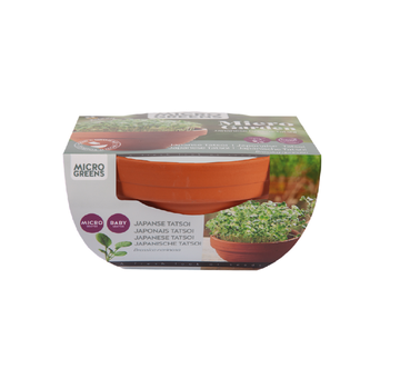 Buzzy Grow Gifts Microgreens Terrakotta Blumentopf Japanische Tatsoi