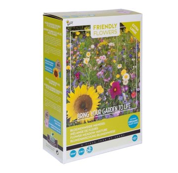 Buzzy Grow Gifts Friendly Flowers XL Blumenwiese 50m²