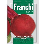 Franchi Rübe Bietola Da orto Detroit