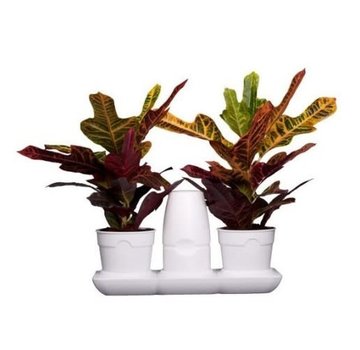 Minigarden Basic S Pots Blumentopf Weiß