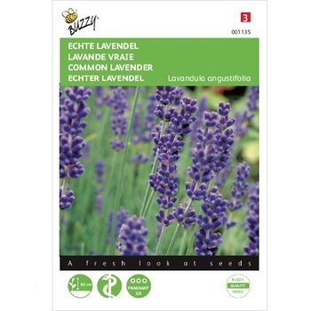 Buzzy Echter Lavendel Samen