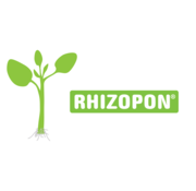 Rhizopon