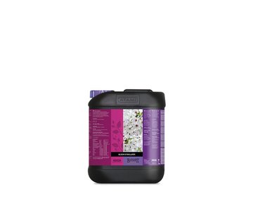 Atami B’cuzz Bloom Stimulator 5 Liter