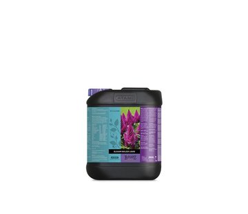 Atami B’cuzz Blossom Builder Liquid 5 Liter