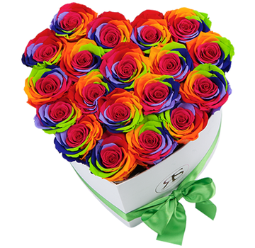 Rosuz Flowerbox Longlife Ella Regenbogen