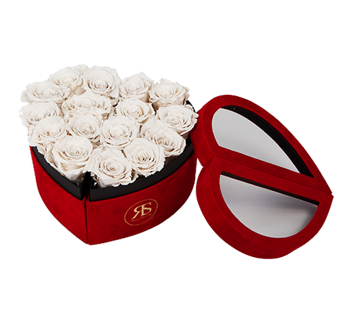 Rosuz Flowerbox Longlife Scarlet Weiß