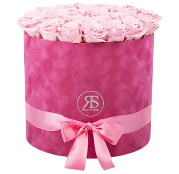 Rosuz Flowerbox Longlife Suzy Hellrosa