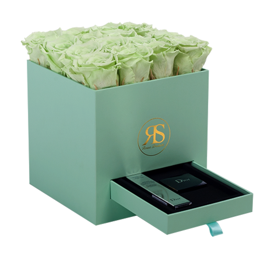 Rosuz Flowerbox Longlife Louise Hellgrün Stadt Garten Store