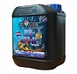 Ph - Wachstum 5 Liter